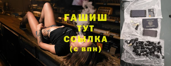 спиды Богданович