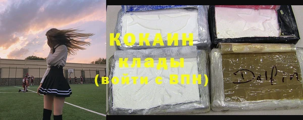 спиды Богданович