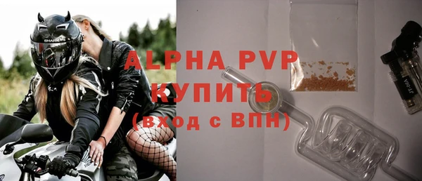 спиды Богданович