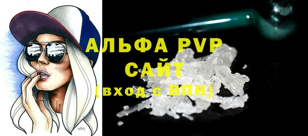 спиды Богданович