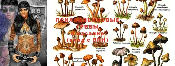 ALPHA PVP Богородицк
