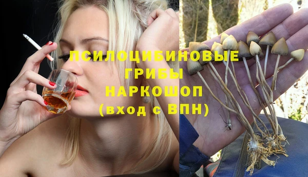ешки Протвино