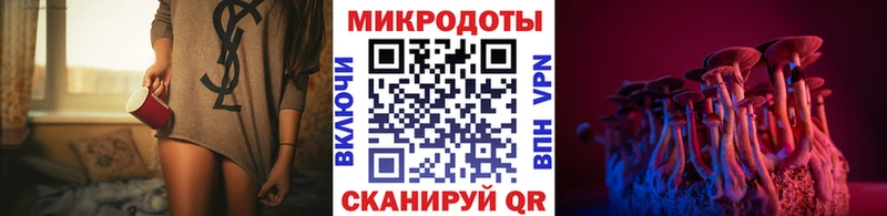 Псилоцибиновые грибы Cubensis  Дмитров 